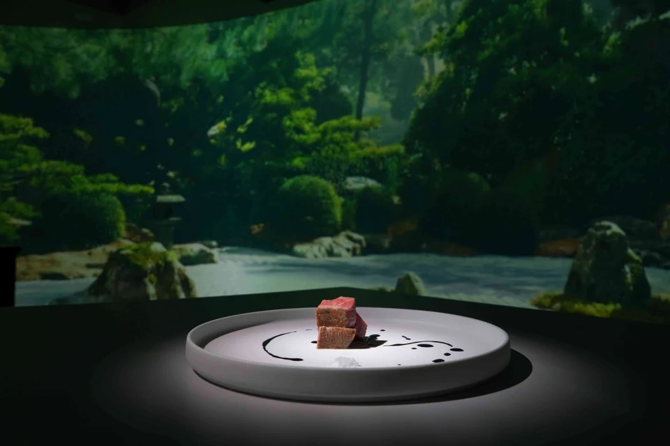 和ノ音の料理と、その背後の壁面に投影された苔庭の映像